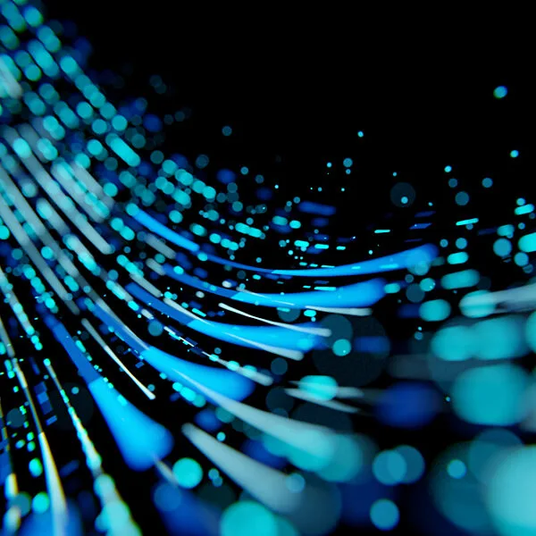 Category I Data Transmission Networks