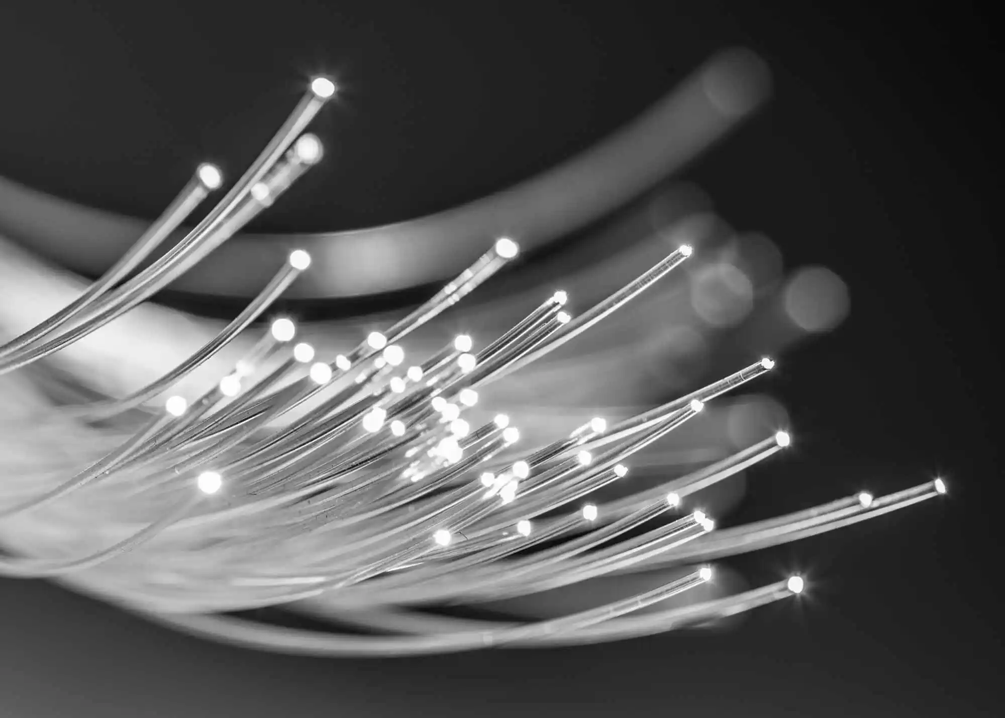 Connecting Dark Fiber BW