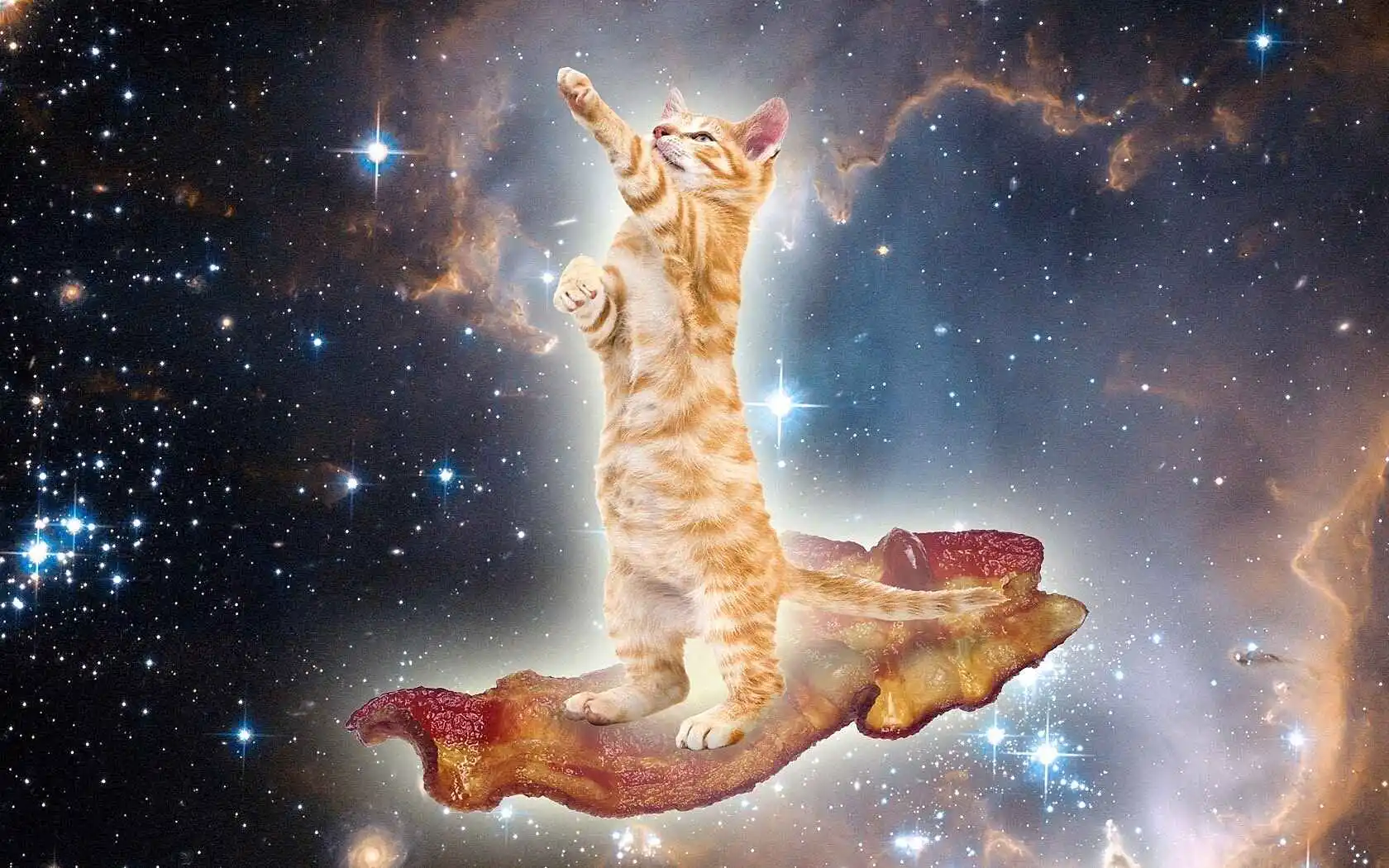 Bacon space kitty 2